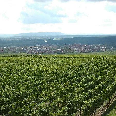 Apartment Weingaertner's Hof Sommerach